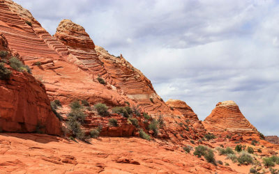 Sandstone formations on the trail to The Wave in Vermilion Cliffs National Monument 