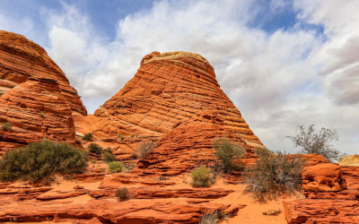 Closeup of a sandstone formation on the trail to The Wave in Vermilion Cliffs National Monument