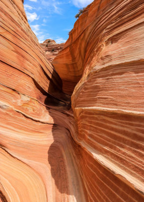 Small canyon near The Wave in Vermilion Cliffs National Monument