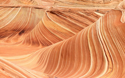 Closeup of The Wave, rolling sandstone, in Vermilion Cliffs National Monument