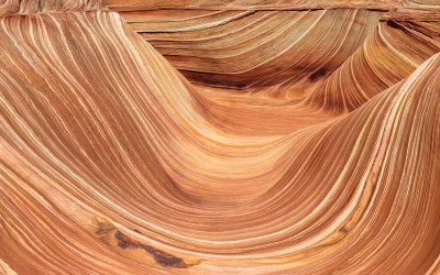 Tight view of The Wave in Vermilion Cliffs National Monument