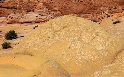 Sandstone dome near The Wave in Vermilion Cliffs National Monument