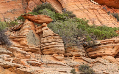 Rock formation in the area above The Wave in Vermilion Cliffs National Monument