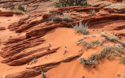 Darker sandstone and sand in an area below The Wave in Vermilion Cliffs National Monument