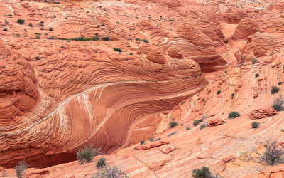 Sweeping dark sandstone canyon below The Wave in Vermilion Cliffs National Monument