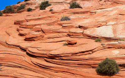 Sandstone formations on the trail to The Wave in Vermilion Cliffs National Monument