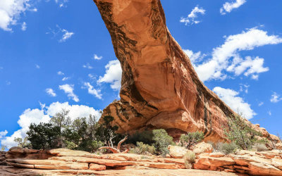 View from underneath Owachomo Bridge in Natural Bridges National Monument