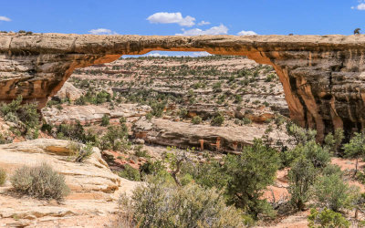 View of Owachomo Bridge and the surrounding canyon in Natural Bridges National Monument