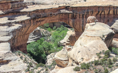 Sipapu Bridge from the viewpoint in Natural Bridges National Monument