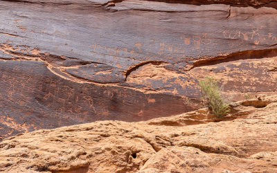 Sand Island petroglyph panel in Bears Ears National Monument