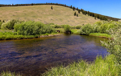 The North Fork of the Big Hole River as viewed from the Nez Perce Camp in Big Hole National Battlefield