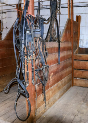Bridles, leads, straps and reins hang in a stall in Grant-Kohrs Ranch NHS