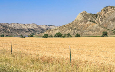 View of the Missouri River across a field in the Stafford Ferry area in Upper Missouri River Breaks NM