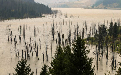 Earthquake Lake Geologic Area – Montana