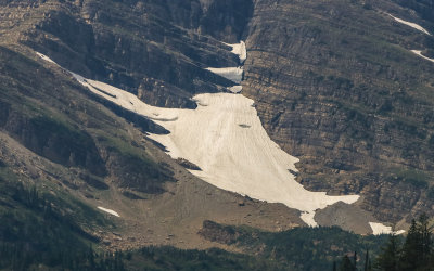 Snow tucked into a mountain crevasse in Glacier National Park