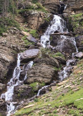 Snowmelt waterfall near Logan Pass in Glacier National Park