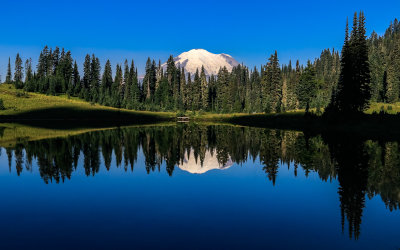 Mount Rainier National Park  Washington