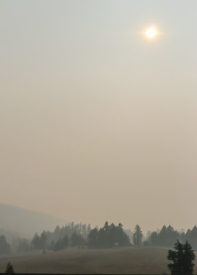 Smoke diminishes the sun and envelops trees in Crater Lake National Park