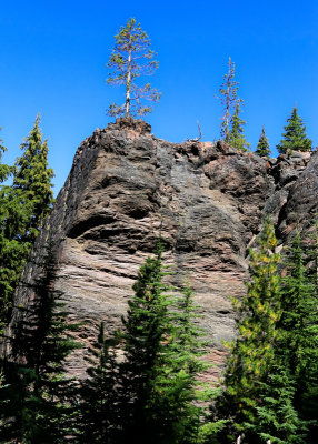 Trees and volcanic rock formation along the West Rim Drive in Crater Lake National Park