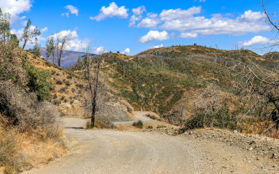The dirt park road in Berryessa Snow Mountain National Monument