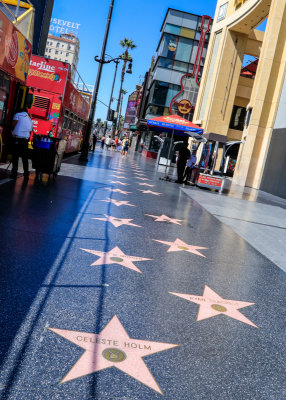Stars on the Hollywood Walk of Fame along Hollywood Boulevard in Hollywood