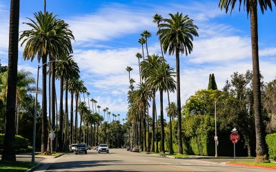 Along Beverly Drive between Sunset Boulevard and Santa Monica Boulevard in Beverly Hills