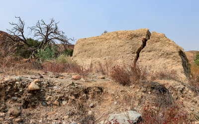 Dead tree next to a two-story block of St. Francis Dan concrete in St. Francis Dam Disaster National Monument