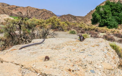 View looking east from the debris field toward the site of the St. Francis Dam in St. Francis Dam Disaster National Monument