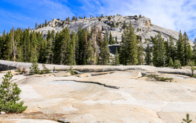 A granite dome along the Tioga Road in Yosemite National Park