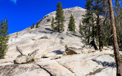 View of a granite dome along the Tioga Road in Yosemite National Park