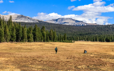 Park Rangers gather data on the Tuolumne Meadows in Yosemite National Park