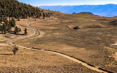 Park road leading in to the Ancient Bristlecone Pine Forest