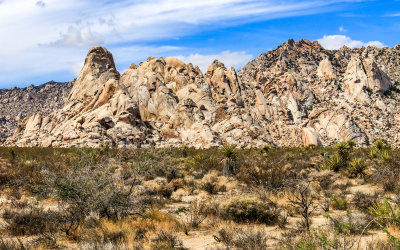 Mojave National Preserve  California