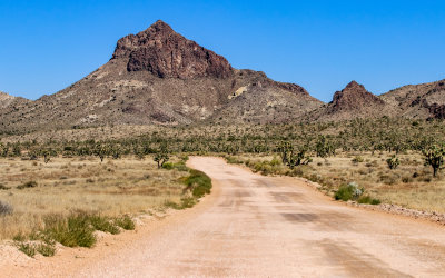 The park road leading toward Hart Peak in Castle Mountains National Monument