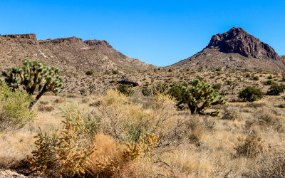 Mountain ridge and Hart Peak (right) in Castle Mountains National Monument