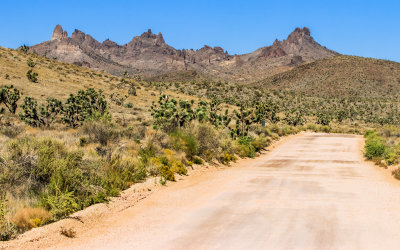 The Castle Peaks in Mojave National Preserve as seen from Castle Mountains National Monument