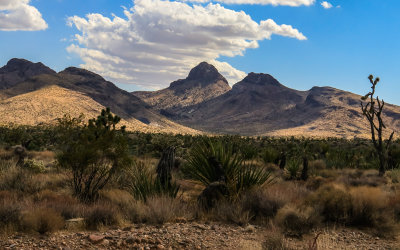 Hart Peak and the Castle Mountain Range in Castle Mountains National Monument