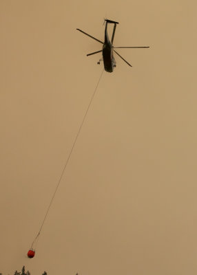 g12/17/606817/3/172099183.1AZr0ytT.jpg