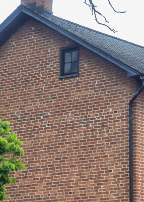 Bullet holes on the side of a building in the town of Gettysburg in Gettysburg NMP