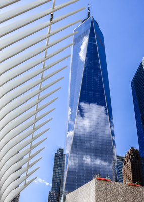 One World Trade Center stands guard over the 9/11 Memorial Grounds