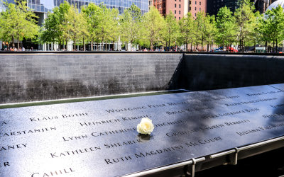A white rose placed on a name at the South Pool on the 9/11 Memorial Grounds