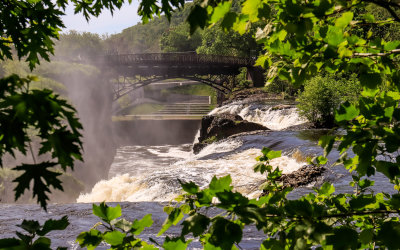 View through the trees of the top of Paterson Great Falls in Paterson Great Falls NHP