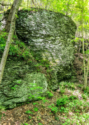 A rock cliff along the Dingmans Creek Trail in Delaware Water Gap NRA
