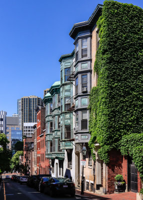 Bay windowed homes along a hill in Boston