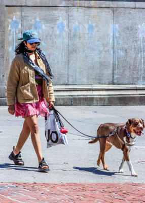 Boston Common fan walks her dog in Boston