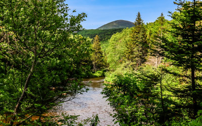 View of mountains along a creek in Baxter State Park