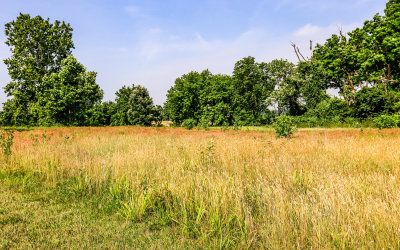 Field in Valley Forge NHP