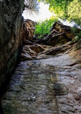 Rock walls tower over the Turkey Spur Trail in New River Gorge National Park