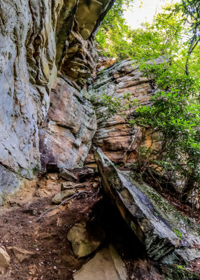Rock formations along the Turkey Spur Trail in New River Gorge National Park
