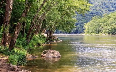 The New River from the Grandview Sandbar along the Glade Creek Road in New River Gorge National Park
